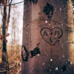 NBA实时直播:今日焦点对决全程高清在线观看 7ezwfv1xwt