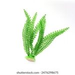 NBA季前赛火热开打,锁定官方直播间见证精彩对决 9vw5y