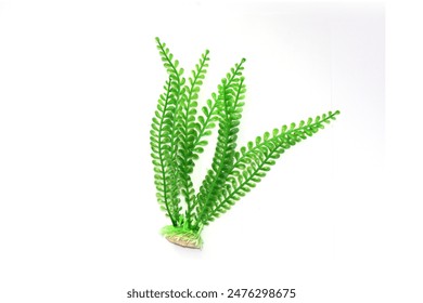 NBA季前赛火热开打,锁定官方直播间见证精彩对决 NBA季前赛火热开打,锁定官方直播间见证精彩对决