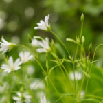 NBA夏季联赛火热开播,精彩对决不容错过! hxw01n6wi