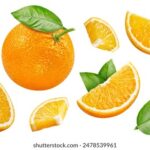 NBA季后赛美国直播:巅峰对决全程精彩不容错过 wc601t